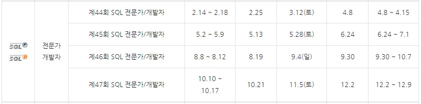 sqld-일정